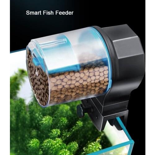Automatic Feeder Aquarium Fish Tank Pond 12/24H Auto Fish Food Dispenser Aquarium Accessories 50/100g Feeding Box