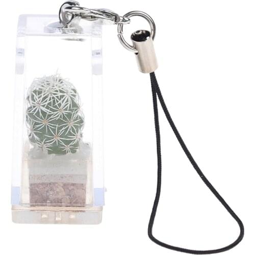 1PC Mini Succulent Cactus Plant Keychain Random Plant Pendant Keyring Charm With Glass Cover Craft Gifts For Women