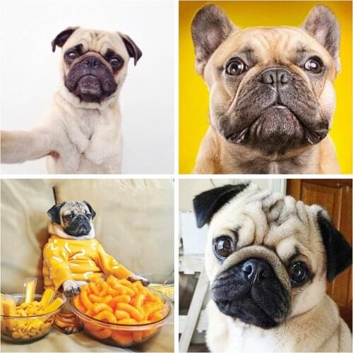 MOONCRESIN Dog Diamond Painting 5D Animal Full Drill Square Diy Diamond Art Embroidery Decoration For Home Gift