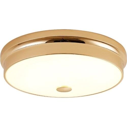Modern LED ceiling lights dimmable Hardware glass 12W 24W 30W 45W Golden Round Black Round LED Ceiling light Corridor aisle