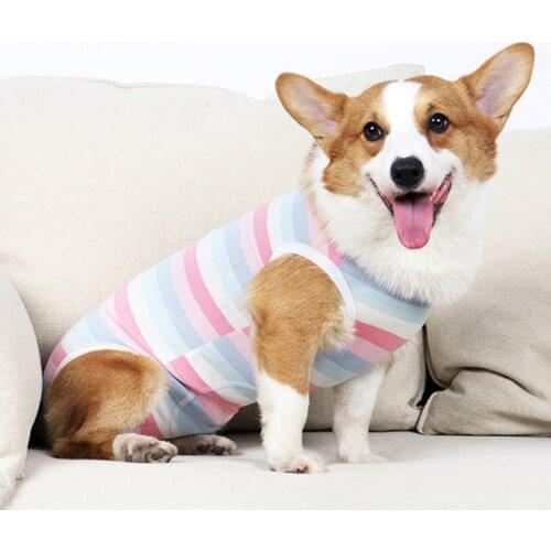 Dogs Maintain Clothes for Operation Recovery Suit Anti Licking Wounds After Surgery Four-legged Jumpsuit