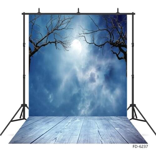 Moon Dry Branches Wooden Plank Photo Backdrop Vinyl Background for Portrait Children Baby Halloween Photobooth Photography Props