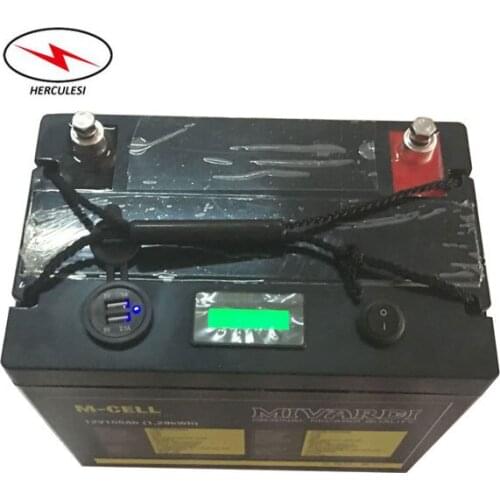 Deep Cycle Recargable Litio Batterie 12V 100Ah Lithium Ion Battery Pack with USB Ports + Level Power Show + On/Off Switch