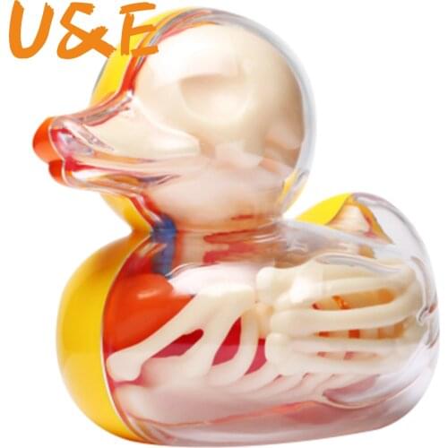 4D Small yellow duck Intelligence Assembling Toy Assembling toy Perspective Anatomy Model DIY Popular Science Appliances