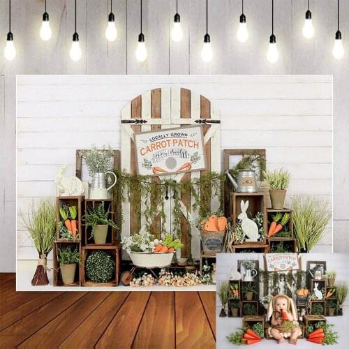 Mehofond Spring Easter Photography Background Wood Wall Rabbit Carrot Flower Green Plants Newborn Baby Backdrop Photocall Studio