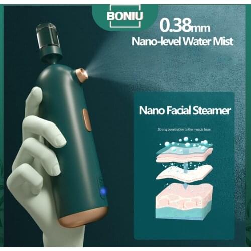 Nano Facial Sprayer Steamer Spa Water Mist Oxygen Injection US Face Steamer Humidifier Wrinkle Women Beauty Skin Care Machine