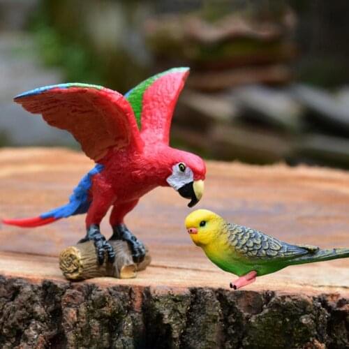 Clear Texture PVC Wild Parrot Animals Model Figures Educational Toy for Playing