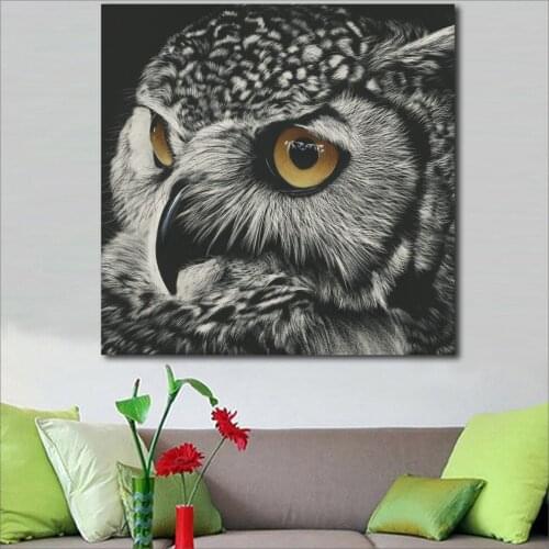 Large size Printing Oil Painting Owls Eyes Closeup Black and white canvas prints pictures for living room and bedroom No Frame