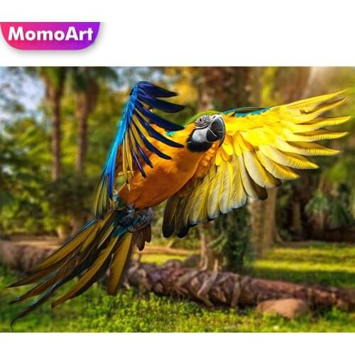 MomoArt Diamond Painting Bird New Arrival Diamond Embroidery Parrot Full Square Mosaic Animal Picture Of Rhinestones Wall Decor