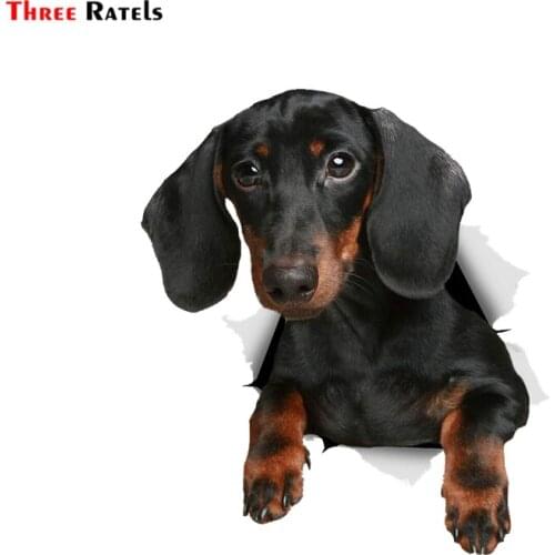 Three Ratels FTC-1073 3D Black Dachshund Dog Sticker Car Sticker Decal for Car Wall Toilet Kids Room Luggage Skateboard Laptop