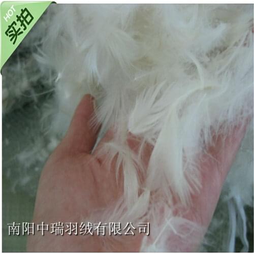 Bulk feather &white duck feather &pillow and sofa filler / bolster and Cushion filler / pillow fight feather