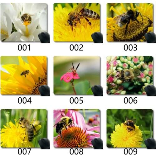 Gaming Mouse Pad,Sunflower Bee Orange Single Flower Leaf Nature Gaming Mousepad