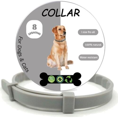 Dog Collar Anti Flea and Tick Mosquitoes 8 Months Protection Waterproof Long Lasting Dog Collar Custom Puppy Cat Pet Collars
