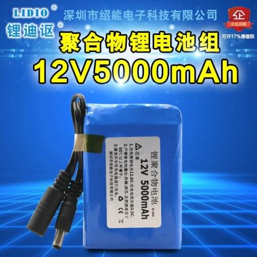Shaoxing 12V 5000mAh polymer battery speaker monitor power 12.6V charger