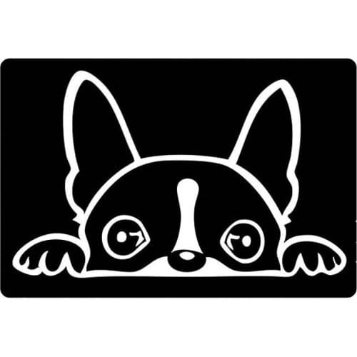 Welcome Black and White Doormat Boston Terrier Pattern Floor Mat Rug Indoor/Front Door/Bathroom Rugs