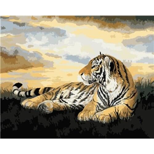 Oil Painting By Number Tiger Animal On Canvas Frame Drawing By Number HandPainted DIY Kits Coloring Picutres Home Decoration Art