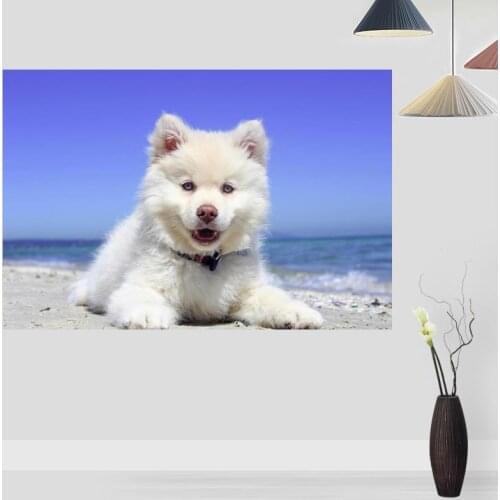 Custom Samoyed Puppy Anime Posters And Prints Wall Pictures For Living Room Modern Art Poster Home Wall Decor 20x30cm,27x40cm
