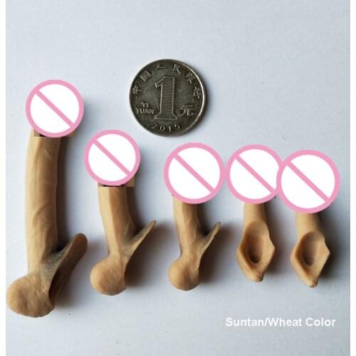 1/6 Scale Accessories Male Genital Parts Silicone Penis Model for 12 Inches Jiaou Doll Tbleague Action Figure