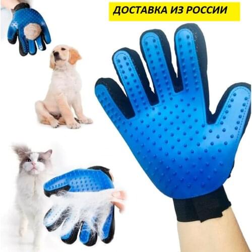 Калейдоскоп товаров Pet Supplies