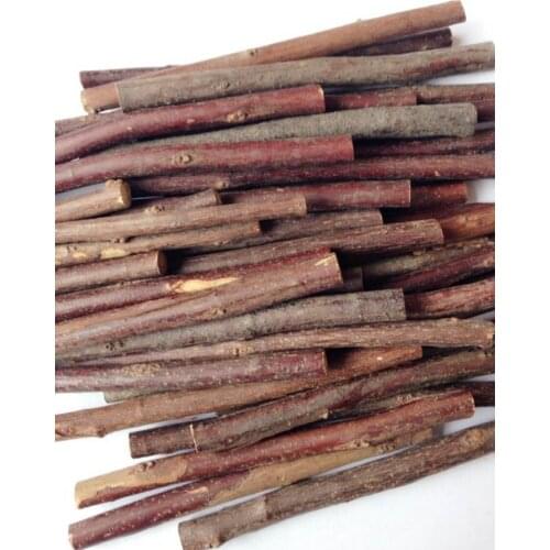 100pcs 10cm Length Natural Dried Wooden Branch For ZAKKA Shopwindow Photographed Background Making Decoration Accessories DIY