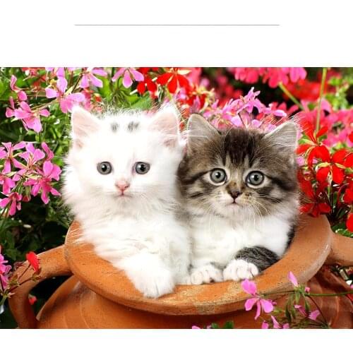 Pintura de diamante 5D paisajismo DIY flor rosa de color bordado de diamantes hecho a mano de punto de cruz kit de Navidad o