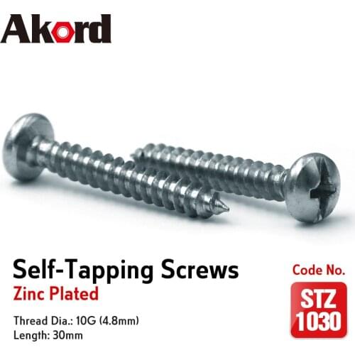 ACCORD 100PCS Self-tapping Screws 10Gx30mm Zinc Plated with storage Box Galvanized Steel Fasteners