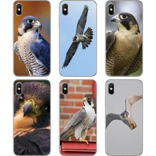 Soft Cases Cover Peregrine-Falcon-fastest-animal-Birds For Samsung Galaxy J5 J6 J7 J8 J1 J2 J3 J4 Plus 2018 Prime 2015 2016 2017