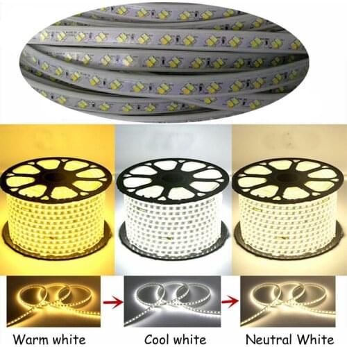 Can changed color 13mm wide LED Strip Light IP67 Waterproof color changeing led strip 220V 120 leds/m ribbon tape + EU plug
