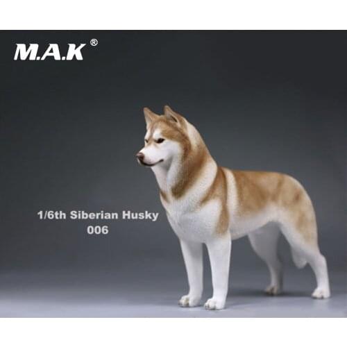 In stock 1/6(12") Dog Model Action Figure Accessory 1:6 Siberian Husky Simulation Animals Sixteenth 006 Dog Model Toys