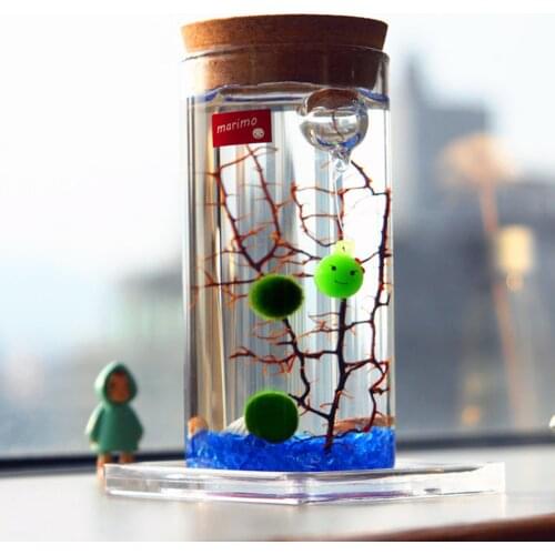 New 15cm Glass Bottle Jar Hydroponic Terrarium Container Light LED Cork Stopper Glass Tabletop Plants Home Office Bonsai Decor