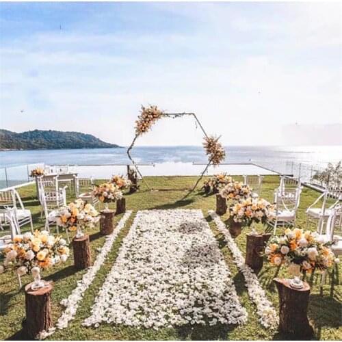 Wedding props Hexagon Mori wedding decoration stage wrought iron arch iron wrought iron arch decoration