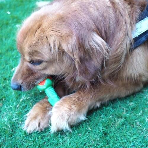 Yellow/red/blue Rose Molar Tooth Cleaner Stick trainging Dog Chew Toy For Outdoor Training Bite Chew Toy Dogs