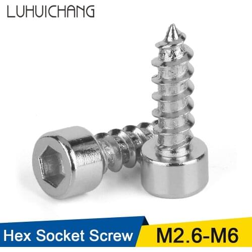 20/55pcs M2 M2.5 M3 M4 M5 M6 Hexagon Hex Socket Cap Head Self Tapping Screw 304 Stainless Steel Allen Head Screw for Speaker