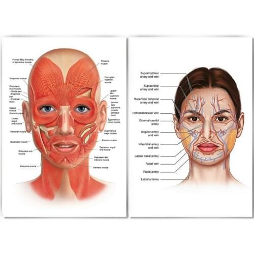 You Are My Sunshine Sunflower Motivation Quotes Art Film Print Silk Poster for Your Home Wall Decor 24x36inch