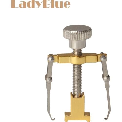 Professional Toenail Corrector Nail Correction Tool Foot Nail Care Ingrown Toenail Cutter Paronychia Nippers Manicure Tool