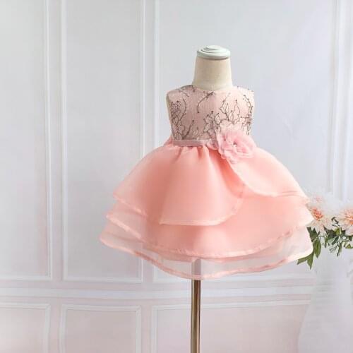 Baby Girl Dress 1 Year Baby Girl Birthday Dress Pink Lace Baptism Gown Party Wedding Baby Clothing Infant Baby Christening Dress