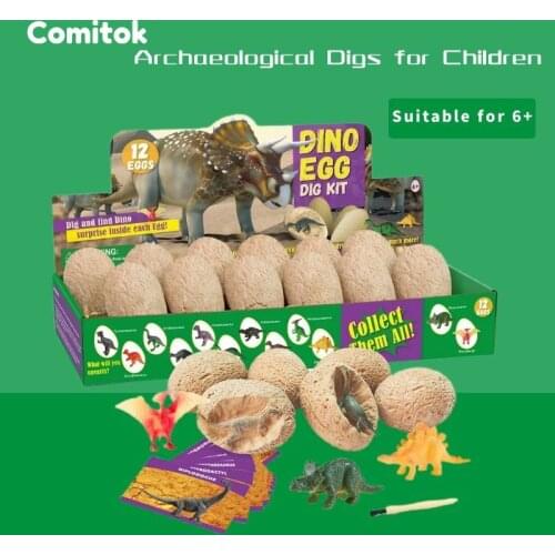 Comitok Educational Toys