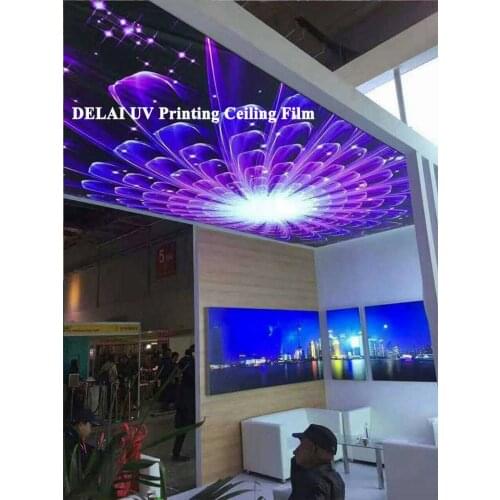 Vivid 3D Feather lighting UV stretch ceiling film with raw mateiral translcuent ceiling film for lighting