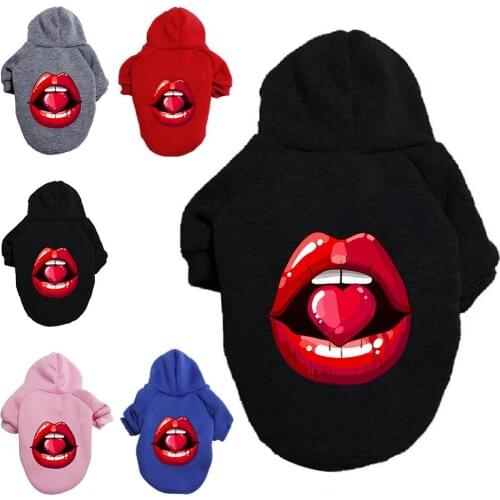 Girls pet dog clothes hoodies large French bulldog warm fleece sweater jackets in autumn winter, custom chihuahua puppy clothes