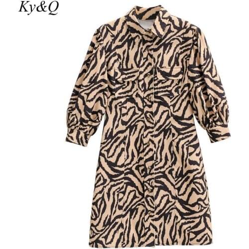 Vintage 2020 Autumn Fashion Sexy Women Long Sleeve Animal Leopard Print Mini Dress Long Sleeve Designer Clothes