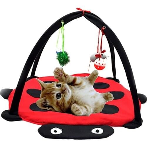 Pet Play Cat Tent Bed Funny Colorful Kitten Pad Cushion Exercise Folding Toy Hammock Bed For Cat Bed