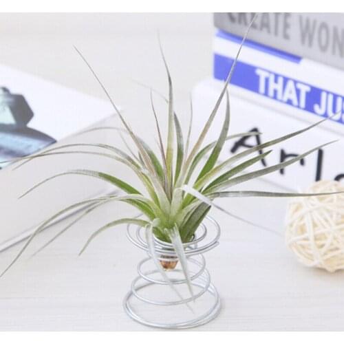 Metal Iron Spring Base Flower Stand Shelf Floor Hollow Shaped Air Plants Home Decor Balcony Flower Plant Holder