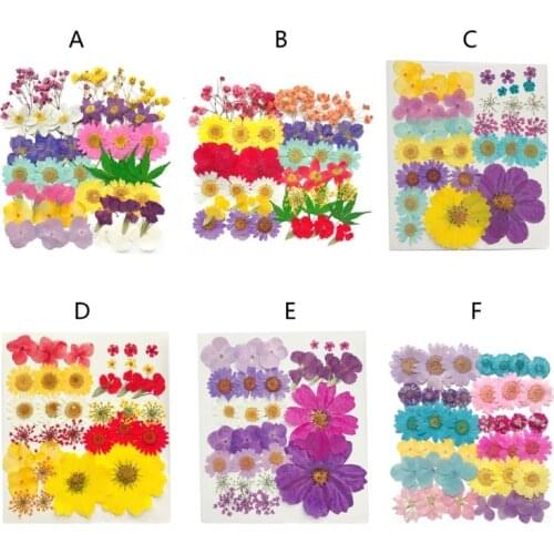 Real Pressed Flower Leaf Daisy Flower Resin Dry Beauty Nail Art Decals Epoxy Mold Fillings Jewelry Making
