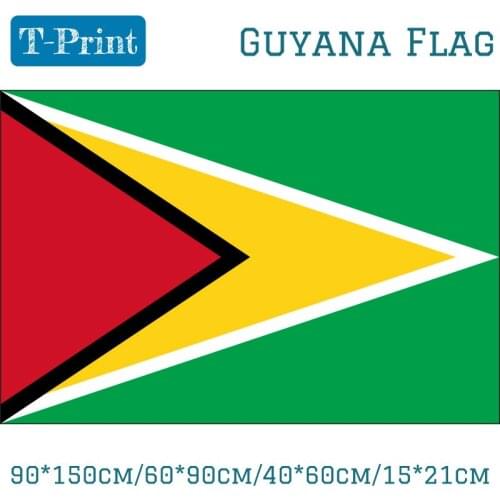 90*150cm/60*90cm/40*60cm/15*21cm Guyana National Flag South America Banner Brass Metal Holes