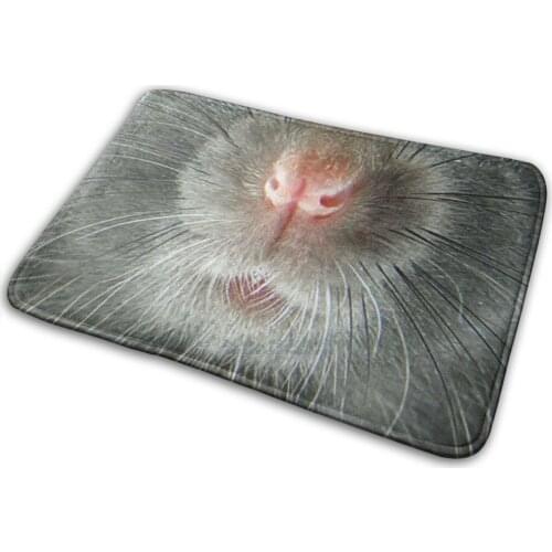Grey Mouse , Mice , Rat Face Mat Rug Carpet Anti-Slip Bedroom Entrance Door Mat Grey Mouse Animal Grey Mice Grey Rat Rat Year