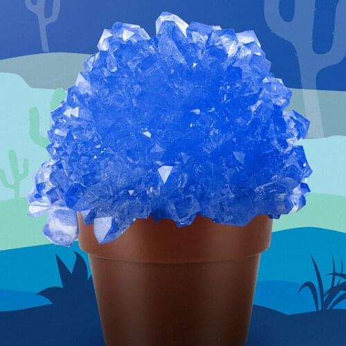 Crystal Growing Kit DIY Science Experiment for Teenagers Boys Magics Toys Children Educational Crystal NSV