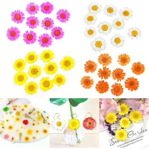 10 Colors Daisy Dried Flowers Sunflower Pressed Flowers Epoxy Resin Pendant Necklace Jewelry Making Craft DIY Accessories
