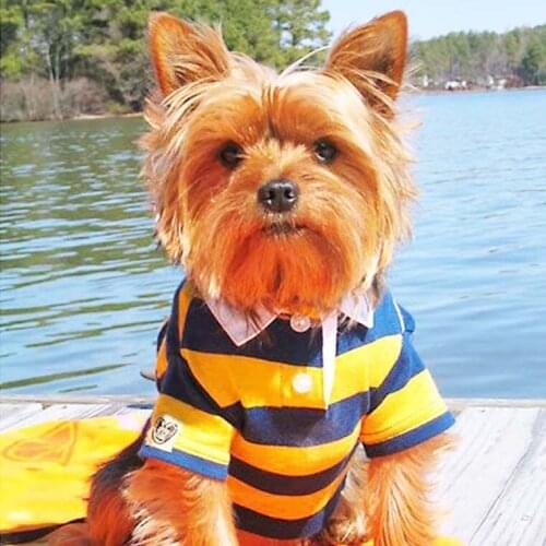 Cute puppy dog animal DIY 5d round full resin drill Diamond Painting Cross Stitch 5D Square Mosaic crystal diamond Embroidery