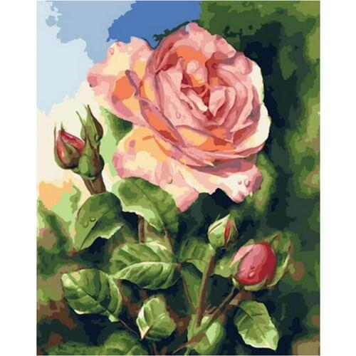 FSBCGT Oil Painting By Numbers DIY Pink Rose Flower Pictures By Number Drawing On Canvas Modern Home Art Number Decor