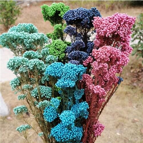 50g/lot,Natural Fresh Mi flowers,Immortal Dried flower Bouquet For Wedding Party Home Decoration accessories,display flowers